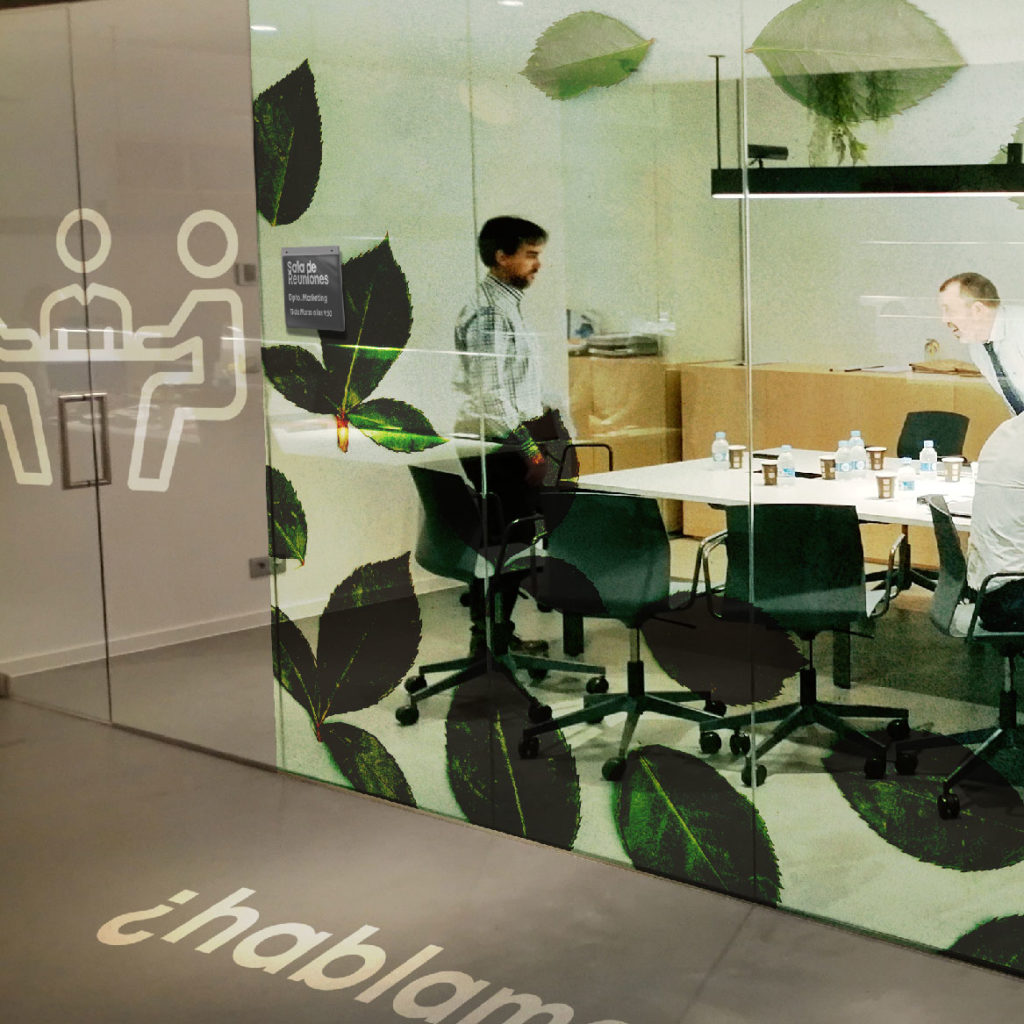 estudio creativo rocha